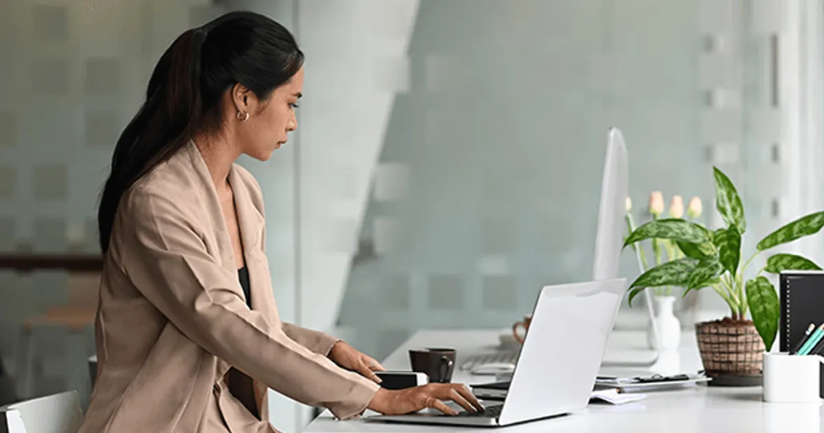 Web Developer Intern